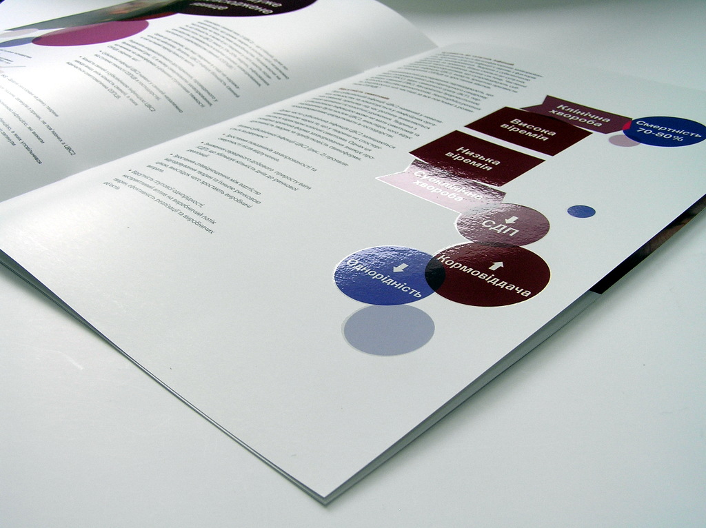 Виготовлення брошур «Порциліс PCV». Поліграфія друкарні Макрос, виготовлення брошур, специфікація 962980-4