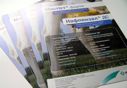 Друк листівок «MSD Animal Health». Поліграфія друкарні Макрос